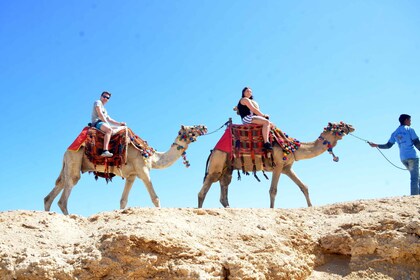 赫尔格达：海洋和沙漠骆驼之旅（含晚餐、表演、观星）