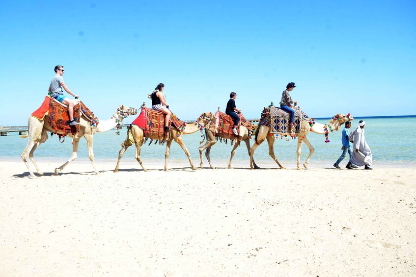 Picture 8 for Activity Hurghada: Sea & Desert Camel Ride w/Dinner, Show, Stargazing