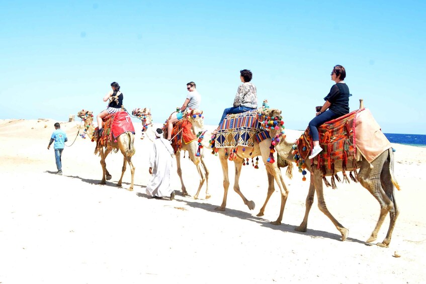 Picture 11 for Activity Hurghada: Sea & Desert Camel Ride w/Dinner, Show, Stargazing