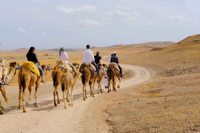 Picture 4 for Activity Agafay and atlas: Quad and camel experience