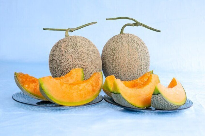 All-you-can-eat Yubari Melons for 30 mins!
