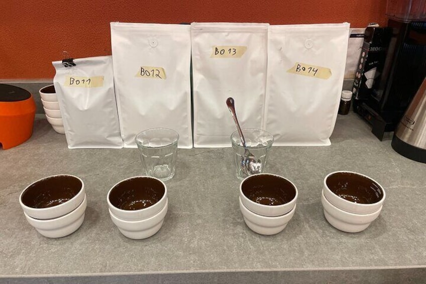 Roast Specialty Coffee with Guided Tasting