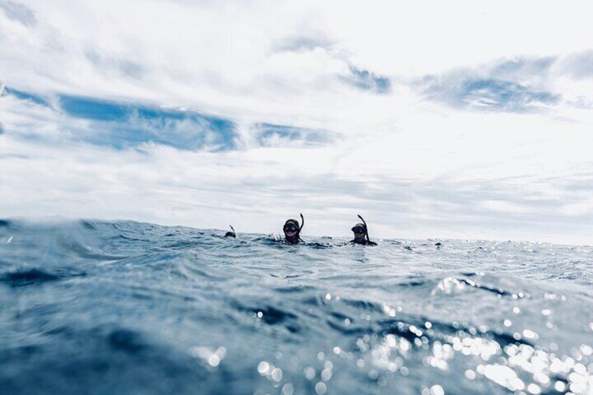 Snorkeling in San Jose del Cabo