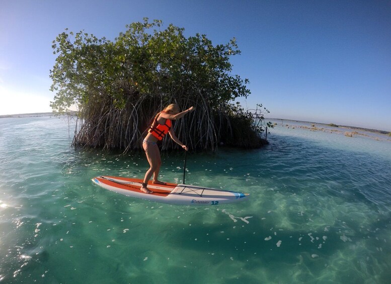 Picture 5 for Activity Bacalar: Full-Day Paddleboard Rental