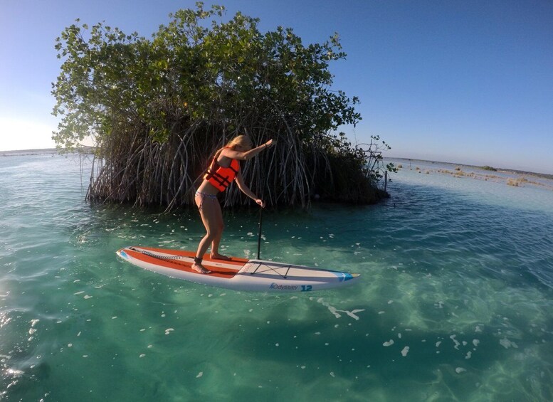 Picture 5 for Activity Bacalar: Full-Day Paddleboard Rental