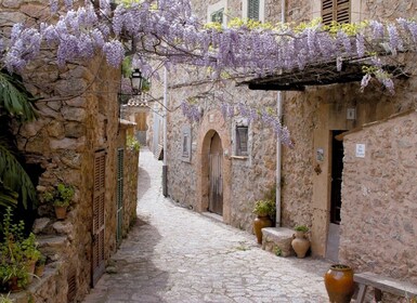 Valldemossa: Discover Valldemossa with a transfer from Palma