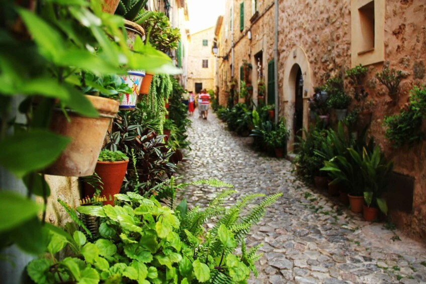 Picture 6 for Activity Valldemossa: Discover Valldemossa with a transfer from Palma