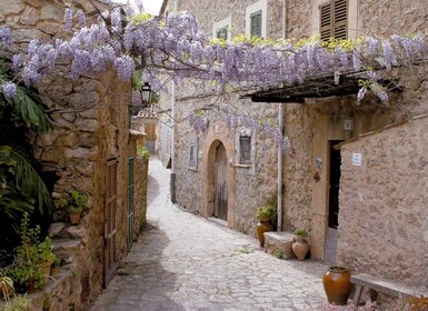 Valldemossa: Ontdek Valldemossa met een transfer vanuit Palma