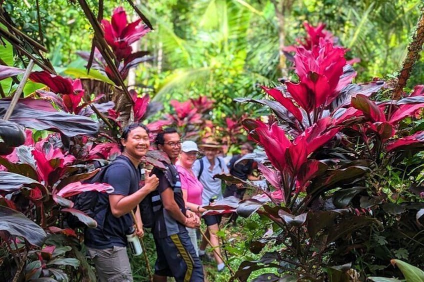 Bali Half-Day Waterfall Hike Tour
