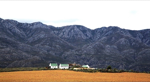 Oudtshoorn: Swartberg Pass Tour with Traditional Lunch