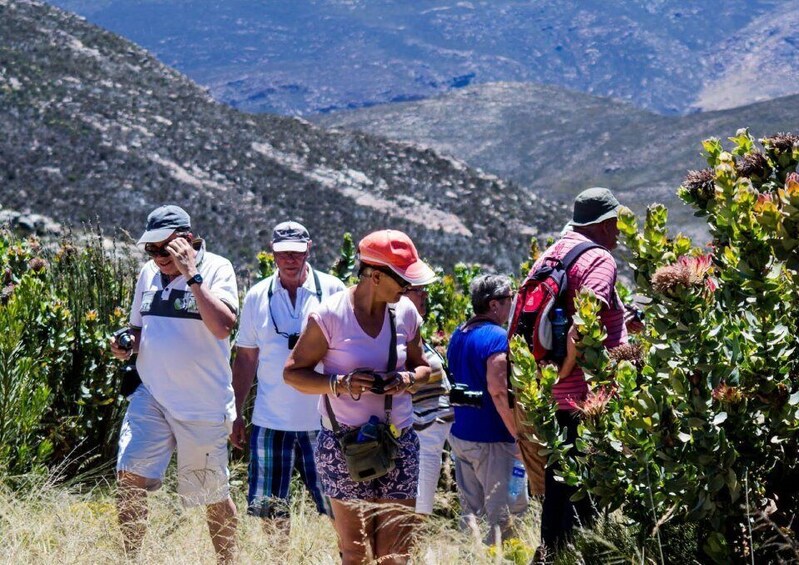 Picture 1 for Activity Oudtshoorn: Swartberg Pass Tour with Traditional Lunch