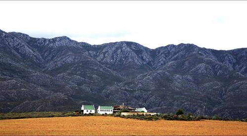 Oudtshoorn: Swartberg Pass Tour with Traditional Lunch