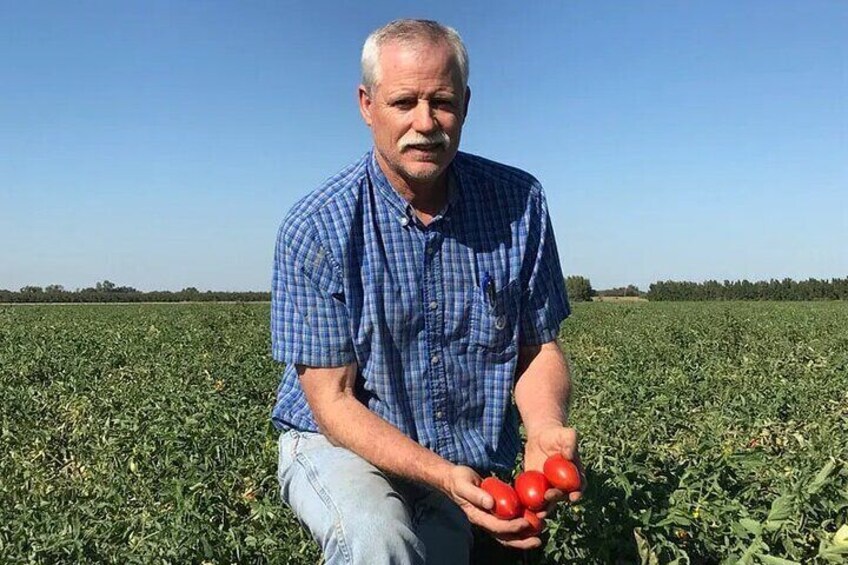 Rominger Brothers Farms is a progressive, diversified family farm and ranch. Brothers Rick and Bruce Rominger are fifth-generation Yolo County farmers. They produce many different crops!