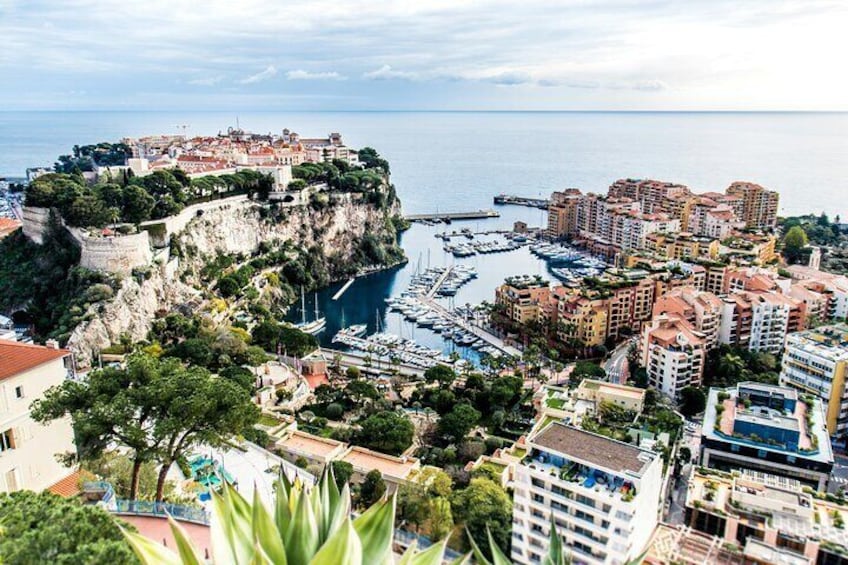 1/2 day tour; Monaco and Eze guided tour, sightseeing