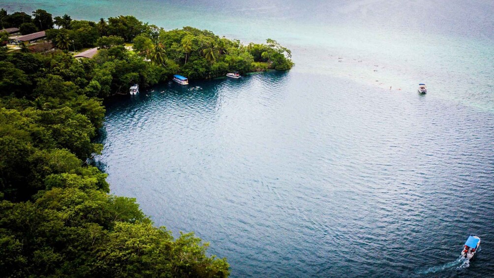 Picture 3 for Activity Bacalar: Private Boat Tour