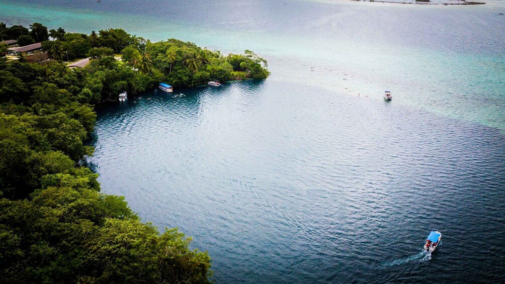 Picture 3 for Activity Bacalar: Private Boat Tour