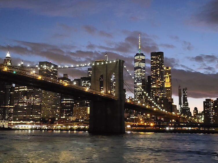 90-minute Manhattan Skyline and Statue Night Cruise