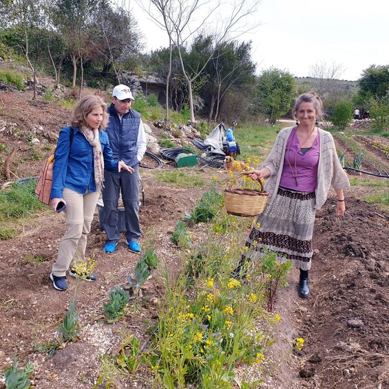 Picture 3 for Activity Slowlife Family Farm: From Garden to Table