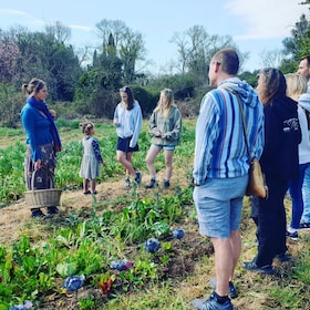 La ferme familiale Slowlife : Du jardin à la table