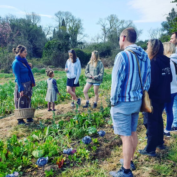 Slowlife Family Farm: From Garden to Table