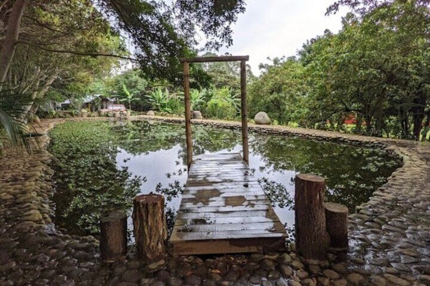 Place for Pictures and Nature