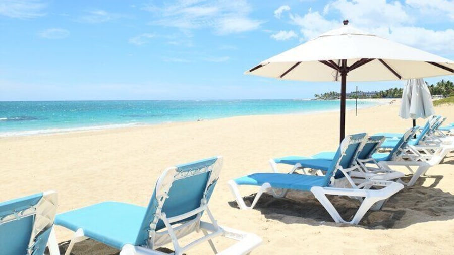 Private Tour in Puerto Plata and La Playa