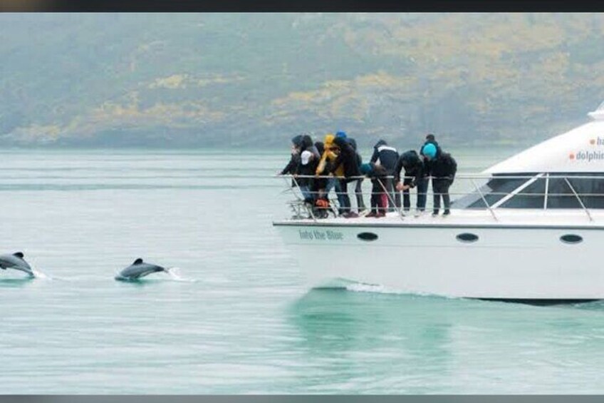 Akaroa Day Tour From Christchurch