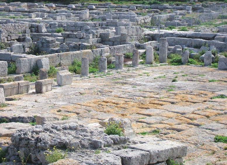 Picture 6 for Activity Gnatia Ruins and Archaeological Museum Private Guided Tour