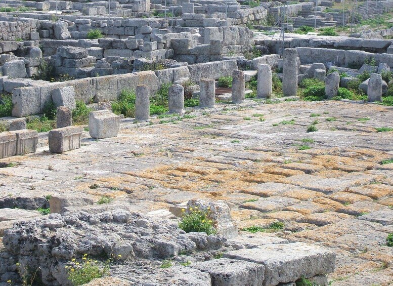 Picture 6 for Activity Gnatia Ruins and Archaeological Museum Private Guided Tour