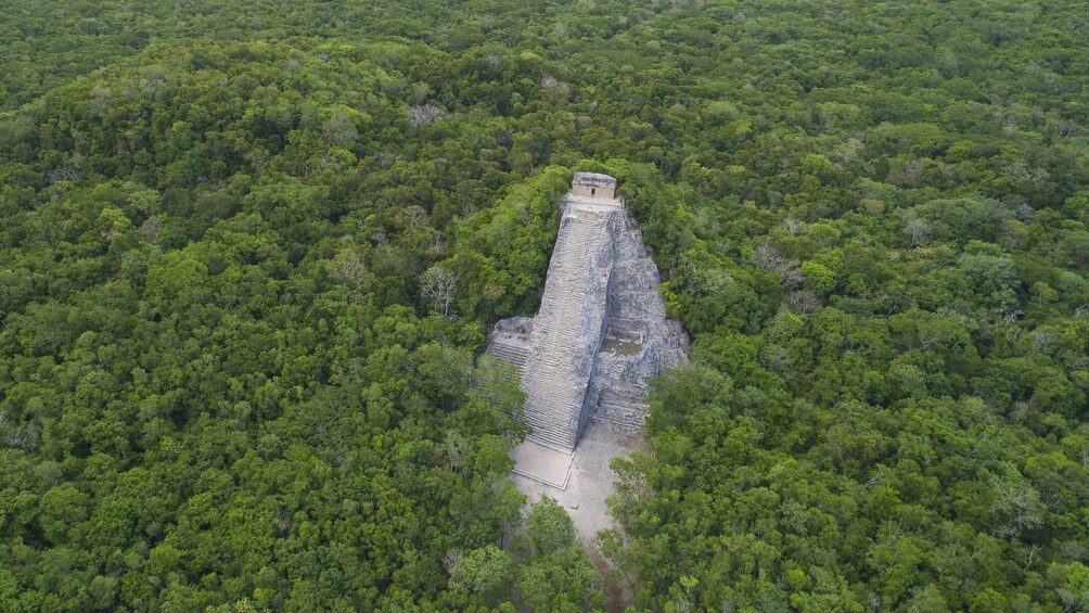 Coba & Turtle Adventure 