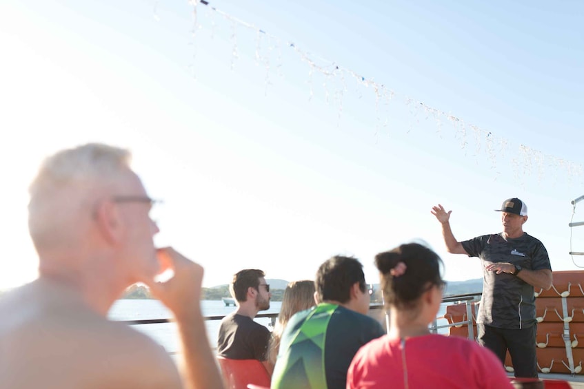 Picture 4 for Activity From Tauranga: Dolphin and Wildlife Cruise