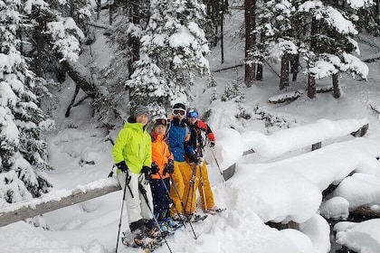 Snowshoe or XC Ski in North Yellowstone (Half Day)