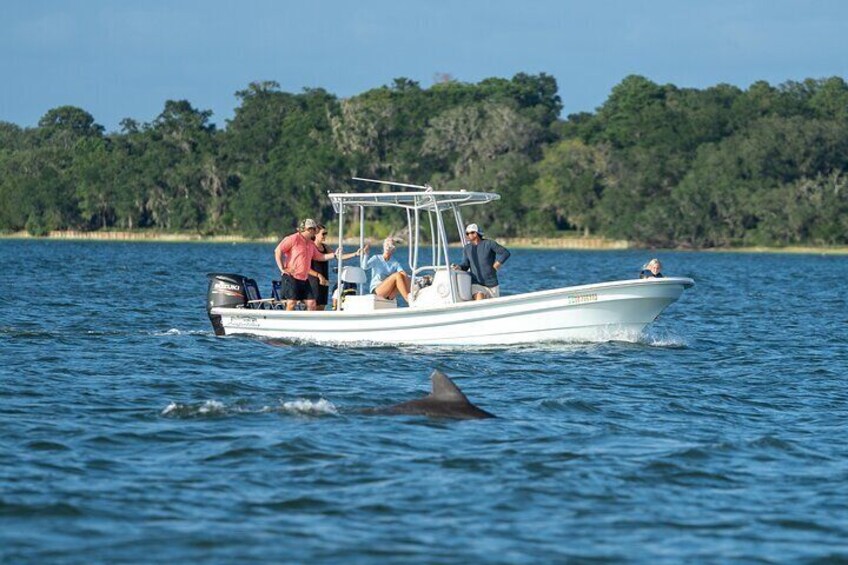 Morning Beaufort River Tour