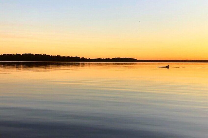 Morning Beaufort River Tour