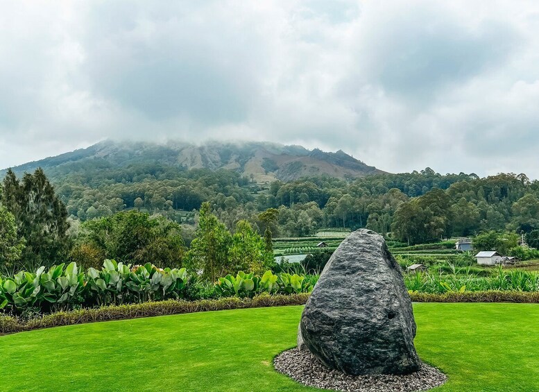 Picture 12 for Activity Mount Batur: Private Volkswagen Jeep Volcano Safari