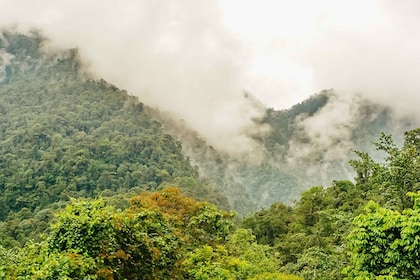 Quito : Visite privée de la forêt nuageuse de Mindo avec téléphérique