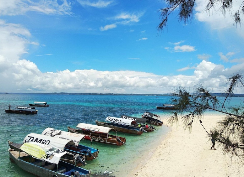 Picture 2 for Activity Zanzibar: Changuu Island and Stone Town Tour with Lunch