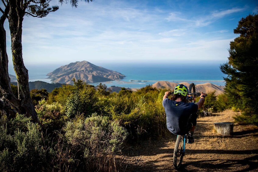 Picture 1 for Activity Cable Bay Adventure Park: E-bike hire