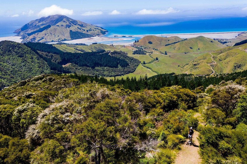 Picture 2 for Activity Cable Bay Adventure Park: E-bike hire