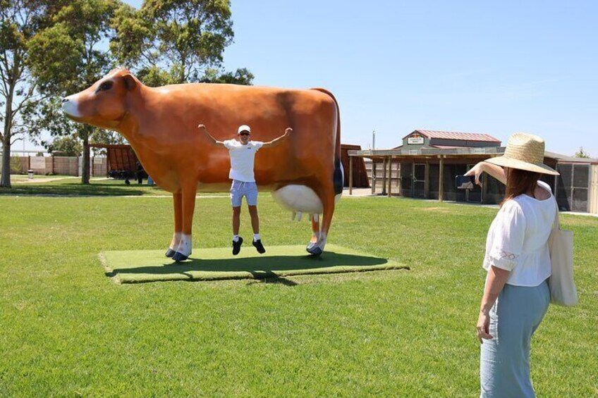 Melbourne Phillip Island 1 Day Tour with Chinese Speaking Guide