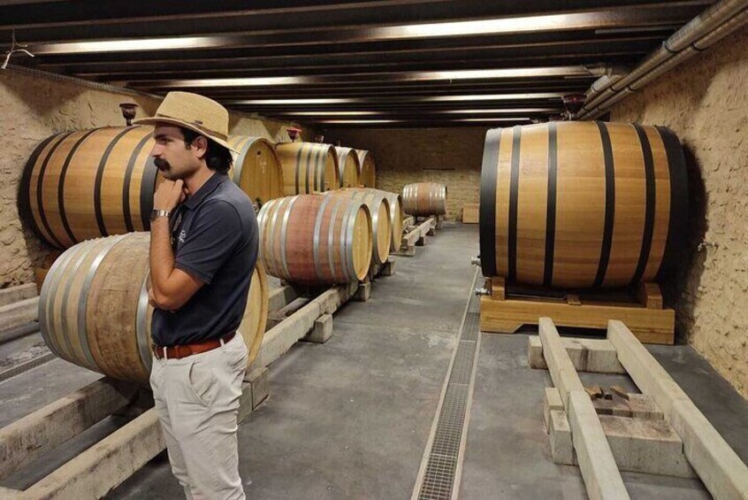 Luberon and Chateauneuf du Pape Wine Tour
