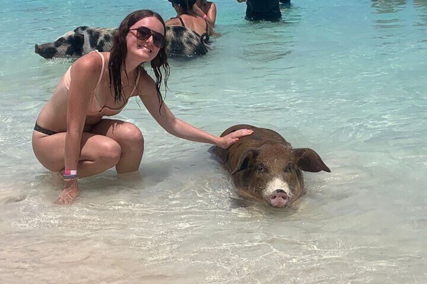 Private Half Day Snorkelling with Turtles and Pigs in Bahamas