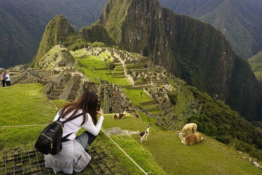 MAchu Picchu in Inca Trail 4 Days