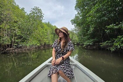 Tour de 5 horas en barco por los manglares en Langkawi