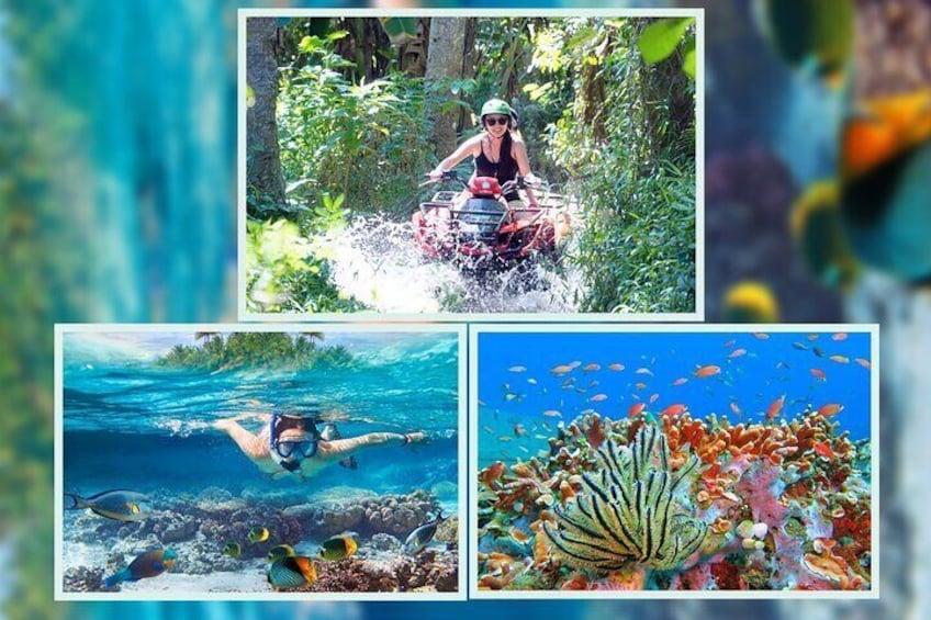 Snorkeling with 2 different spots and Bali ATV Quad bike