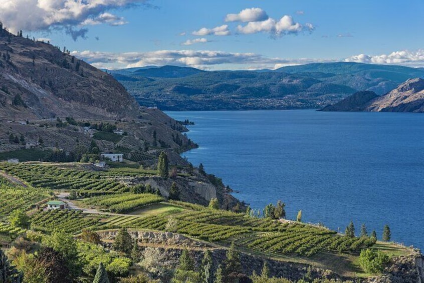 Half Day Private Summerland Wine Tour from Kelowna