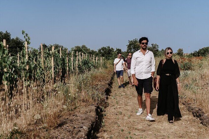 Walking in the urban vineyards