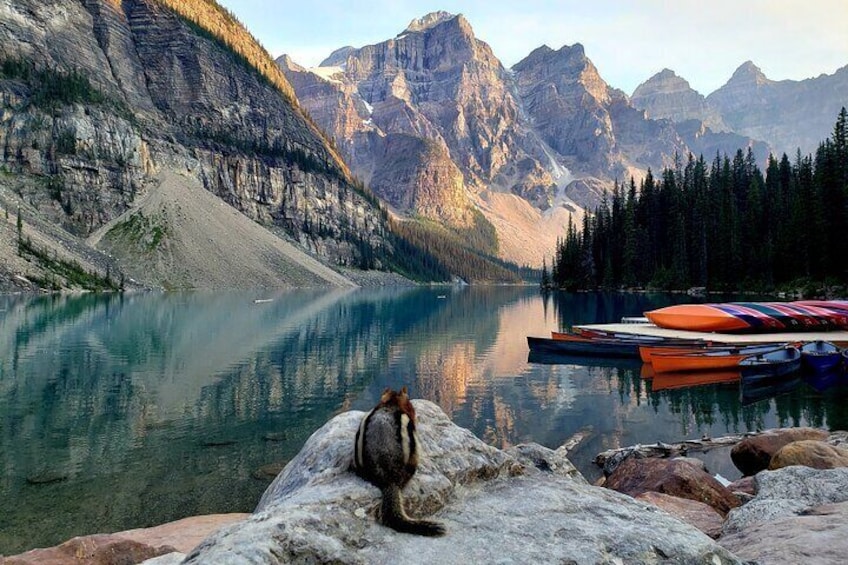 Chipmunk watching Moraine Lake