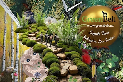 Guided Small Group Walking Tour in Wellington