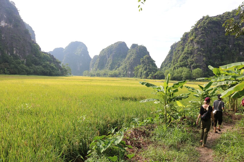 Vietnam : Join In Group Bai Dinh Temple Trang An Eco Hang Mua Hiking Day To